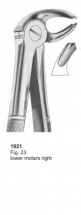  Fig. 23 lower molars right 